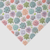 Papier Mousseline Succulentes (Détail)