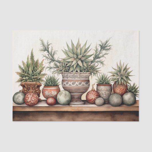 Papier Mousseline Succulents Pots Noël Cactus Sud-Ouest (Recto)