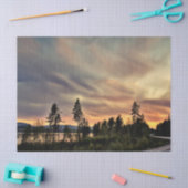 Papier Mousseline Suivez le Sun (Artisanat)