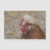 Papier Mousseline Sulmtaler Hen (Recto)