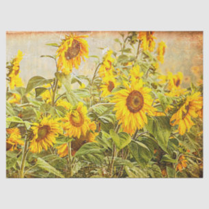 Papier Mousseline Sunflower Field Vintage Antique Yellow Decoupage