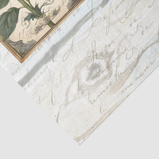 Papier Mousseline Sunflower Script Ephemera Russe Bois Découpage (Détail)