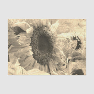 Papier Mousseline Sunflower Sepia Belle floraison Country
