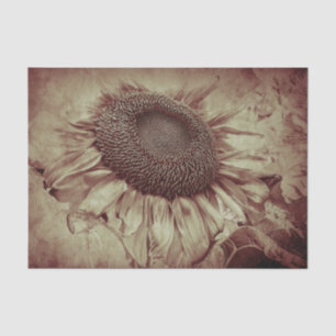 Papier Mousseline Sunflower Sepia Brown Antique Vintage