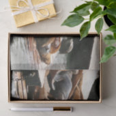 Papier Mousseline Sunning Lions à San Francisco (Cadeau)