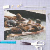 Papier Mousseline Sunning Lions à San Francisco (Artisanat)