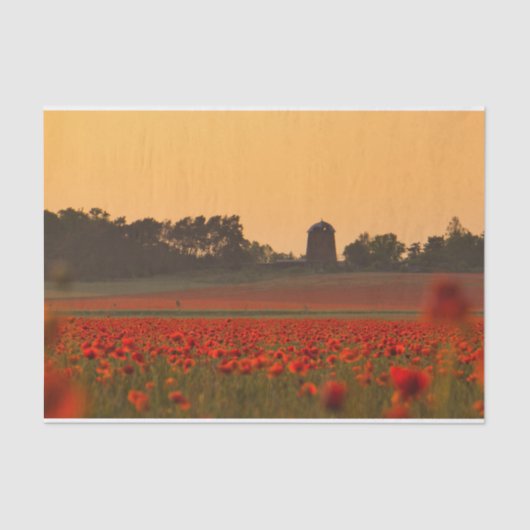 Papier Mousseline Sunset Bathing a Red Poppy Farm (Recto)