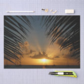 Papier Mousseline Sunset Through Palm Fronds (Artisanat)
