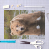 Papier Mousseline Superbe Ours Brown Kodiak (Artisanat)