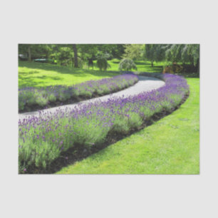 Papier Mousseline Superbe Promenade Jardin Lavande Paysage