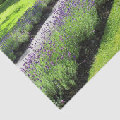 Papier Mousseline Superbe Promenade Jardin Lavande Paysage (Détail)