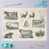 Papier Mousseline Sur La Ferme Ferme Française Mono Découpage (Artisanat)