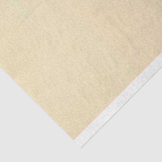 Papier Mousseline Surf des os crâniens #4 (Détail)