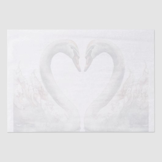 Papier Mousseline Swan (Recto)