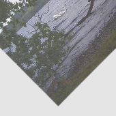 Papier Mousseline Swans sur Loch Lomond (Détail)