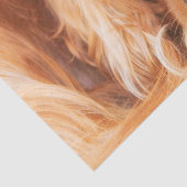 Papier Mousseline Sweet Friend Cavalier King Charles (Détail)