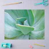 Papier Mousseline Swirl Succulent (Artisanat)