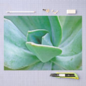 Papier Mousseline Swirl Succulent (Artisanat)