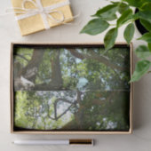 Papier Mousseline Sycamore Tree Nature verte (Cadeau)