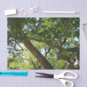 Papier Mousseline Sycamore Tree Nature verte (Artisanat)