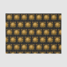 Symbole de Louis XIV le Roi Soleil