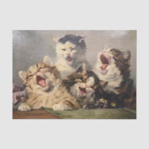 Papier Mousseline Symphonie de chatons par Julius Adam II