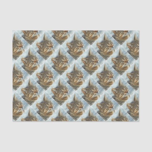 Papier Mousseline Tabby Cat Étonnant Gros Plan Graphite Portra (Recto)