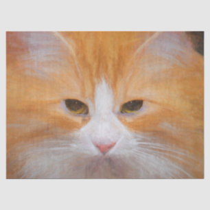 Papier Mousseline Tabby Cat Orange White Cute Fluffy Beautieux