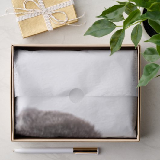 Papier Mousseline Tabby Gris (Cadeau)