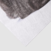 Papier Mousseline Tabby Gris (Détail)