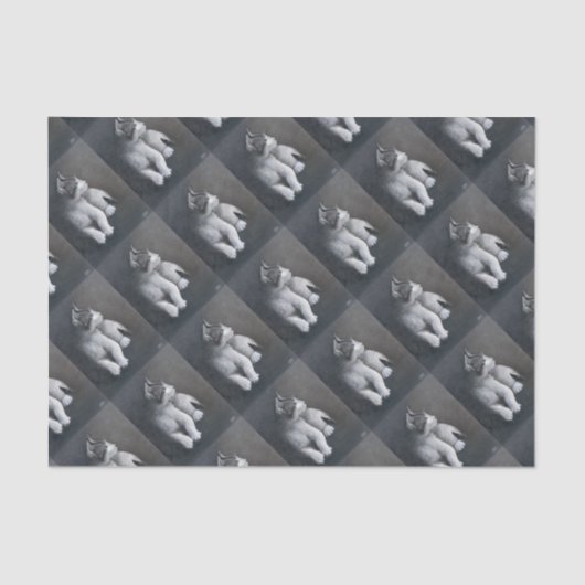 Papier Mousseline Tabby Kitten (Recto)