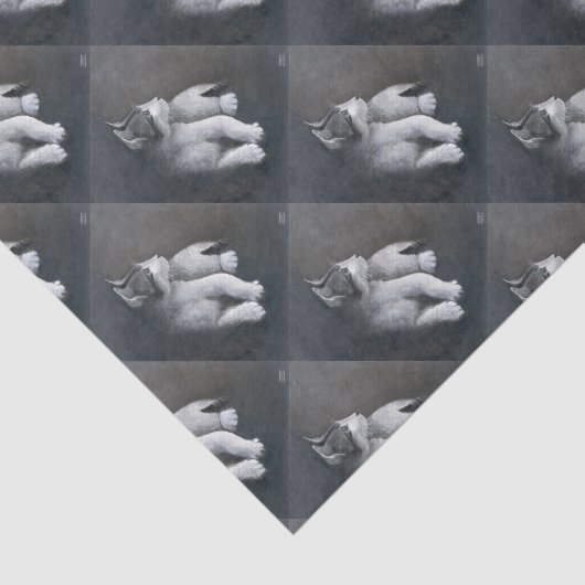 Papier Mousseline Tabby Kitten (Détail)