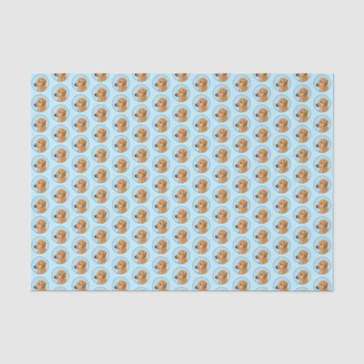 Papier Mousseline Tableau Rhodesian Ridgeback - Art Chien original (Recto)