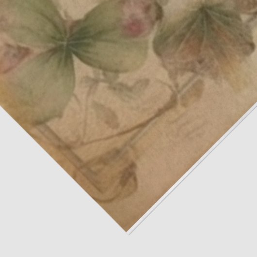 Papier Mousseline Tableau trois (Détail)