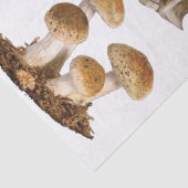 Papier Mousseline Tabouret de cabot découpage éléments en bois (Détail)