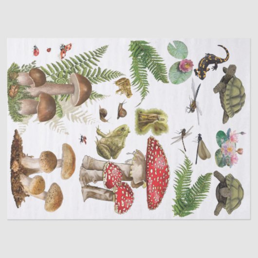 Papier Mousseline Tabouret de cabot découpage éléments en bois (Recto)