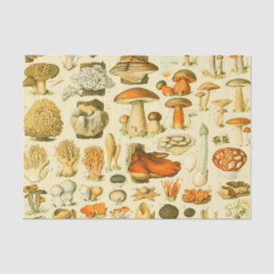 Papier Mousseline Tabouret de toilette Vintage de champignons Illust