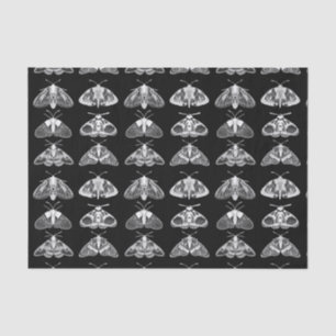 Papier Mousseline Taches en noir, blanc et gris