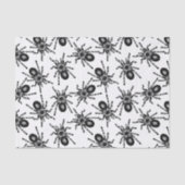 Papier Mousseline Tarantula (Recto)