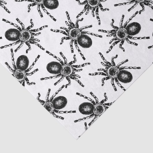Papier Mousseline Tarantula (Détail)
