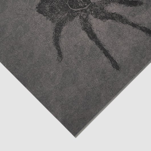 Papier Mousseline Tarantula Goth Decoupage (Détail)