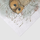 Papier Mousseline Tawny Owl Bird Pinecone French Script Decoupage (Détail)
