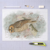 Papier Mousseline Tawny Owl Bird Pinecone French Script Decoupage (Artisanat)