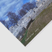 Papier Mousseline Temple de Zeus - Nemea (Détail)