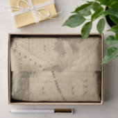 Papier Mousseline Terres de marais et de marée de sel (Cadeau)