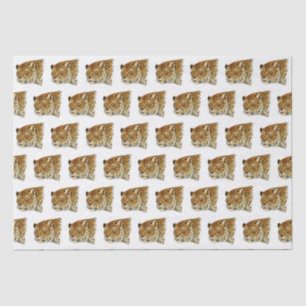 Papier Mousseline Tête de Chat Tacheté Léopard Guépard Vintage