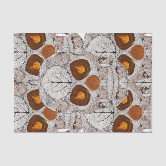 Papier Mousseline Tête de feuille d'aspect 11 (Recto)