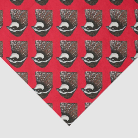 Papier Mousseline Tête de Queue Bobwhite (Détail)