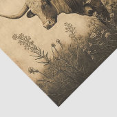 Papier Mousseline Texas Longhorn (Détail)