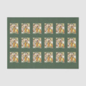 Papier Mousseline Texture brodée Dames indiennes en vert forestier (Recto)